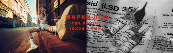 spice Медвежьегорск
