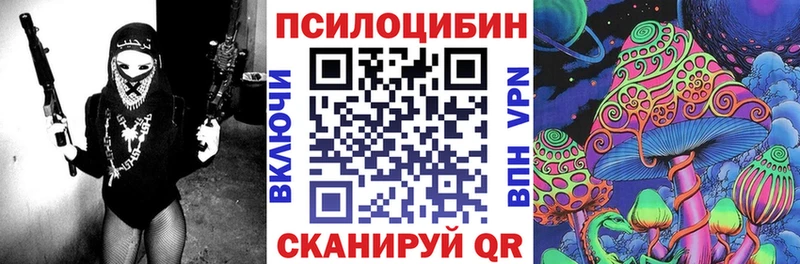 Галлюциногенные грибы Psilocybine cubensis  Суджа 