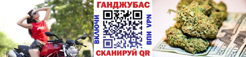 Шишки марихуана семена  Суджа 